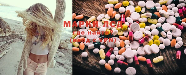 стафф Вязьма