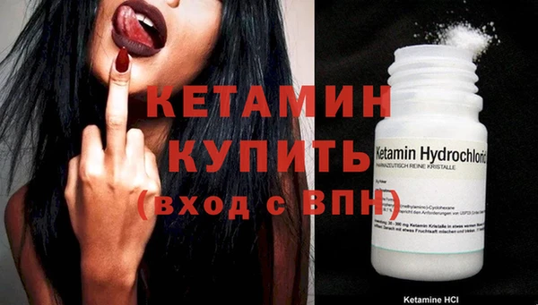 стафф Вязьма